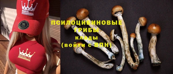 соль курить ск Белоозёрский